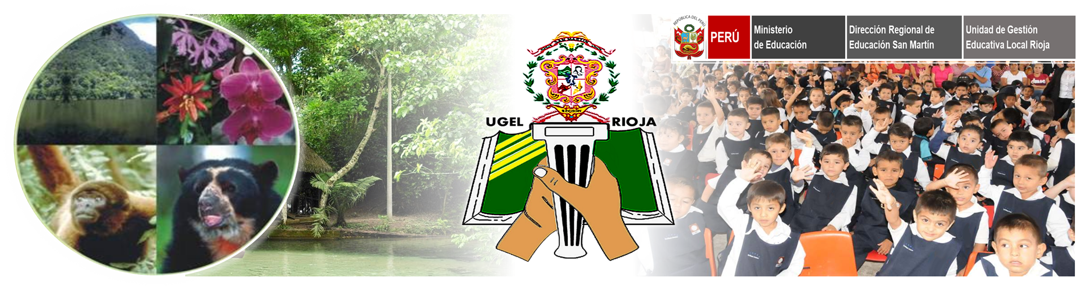 Publicaciones UGEL Rioja